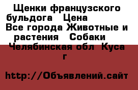 Щенки французского бульдога › Цена ­ 30 000 - Все города Животные и растения » Собаки   . Челябинская обл.,Куса г.